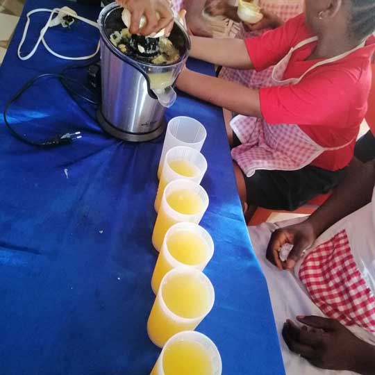 Presentation and Activities by Pupils