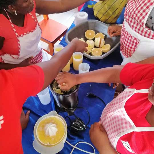 Presentation and Activities by Pupils