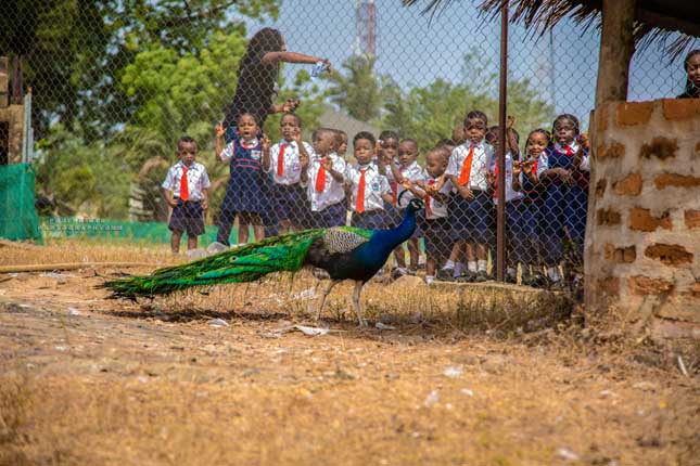 Crystaland Gallery Picture